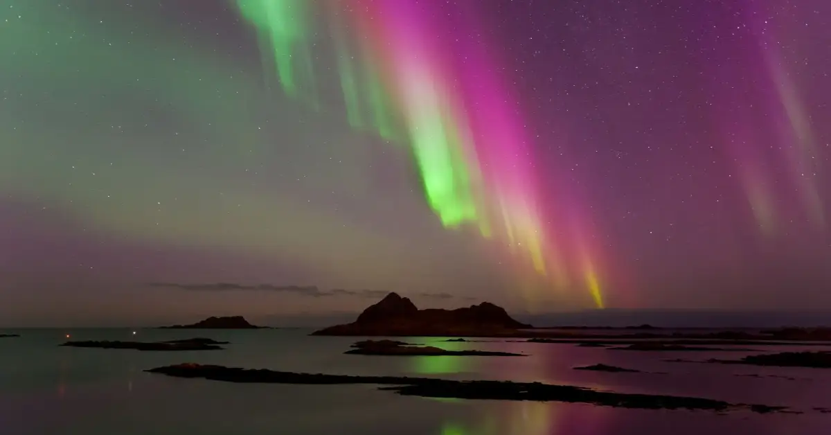 reindeer sleigh ride under the aurora in Tromsø