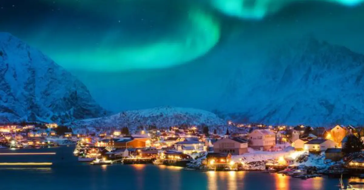 whale watching and northern lights combo tours